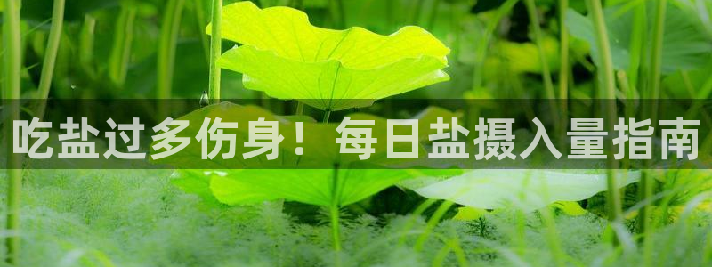 威九国际取款