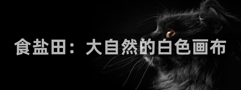 威九国际客服电话人工服务