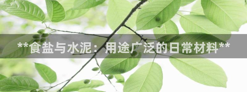 威九国际78mb特点