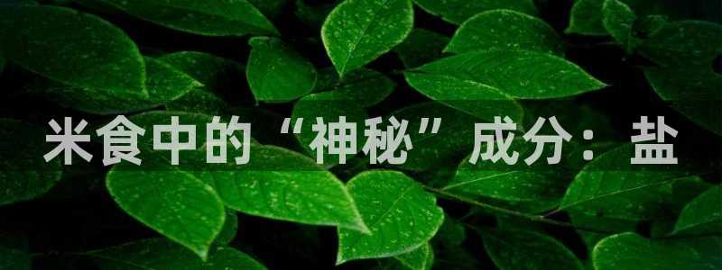 威九国际男主