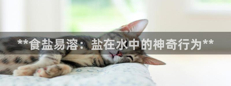威九国际可以提现吗