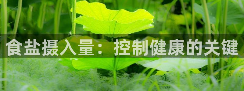 威九国际特殊奖励我的奖励竟然是嫂子