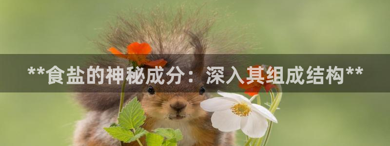威九国际网站是多少