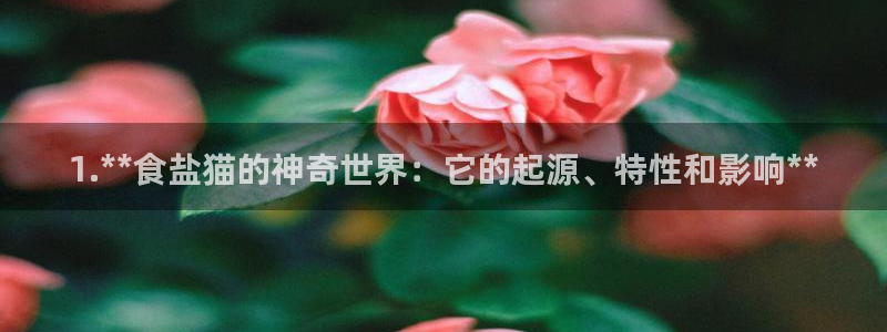 威九国际抡里
