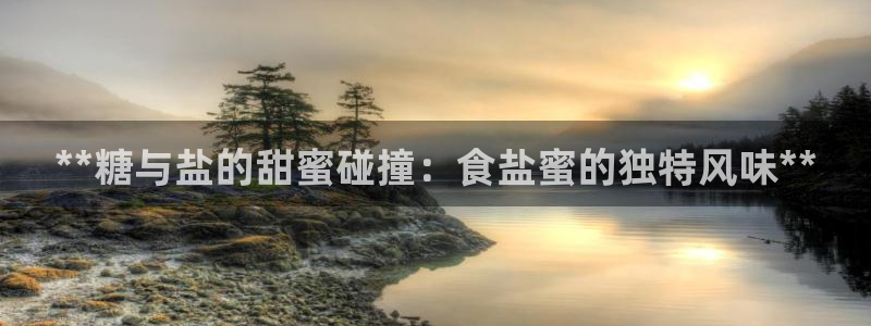 威九国际ppt免费吗