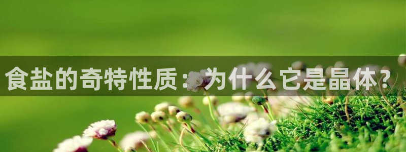 威九国际app大全下载安装