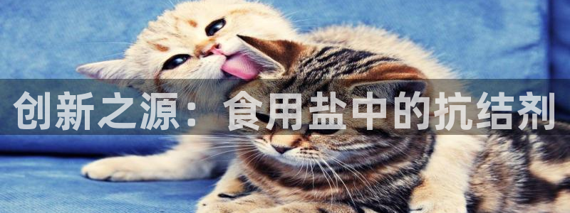 威九国际游戏app(网站)：创新之源：食用盐中的抗结剂
