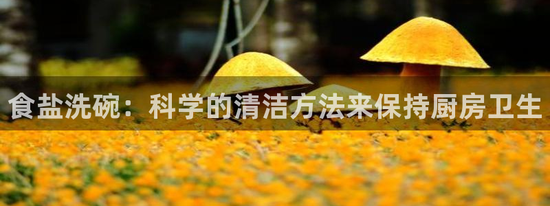 威九国际78mB官网版