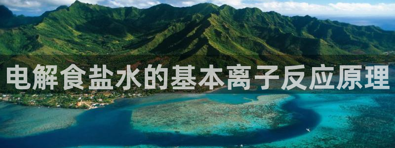 威九国际官网版下载