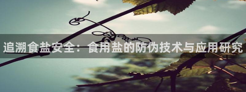 威九国际APP客服