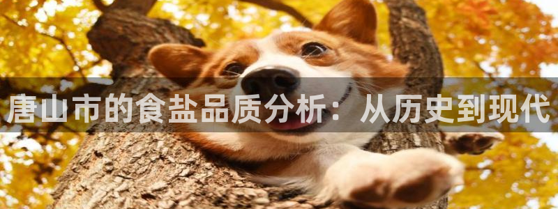 威九国际FF