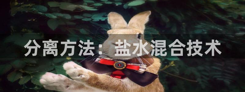 威九国际可以退钱吗怎么退的