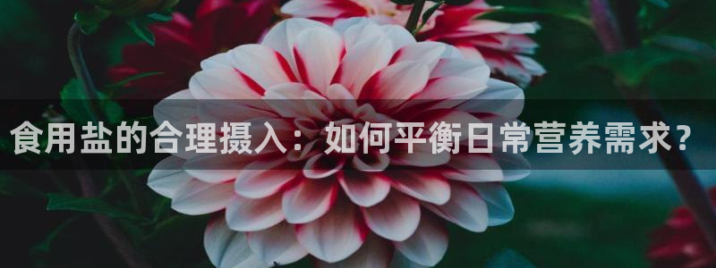 威九国际A：食用盐的合理摄入：如何平衡日常营养需求？