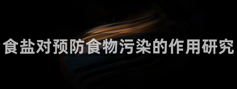 威九国际H
