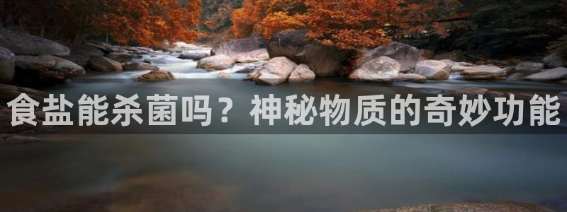 威九国际游戏app(网站)