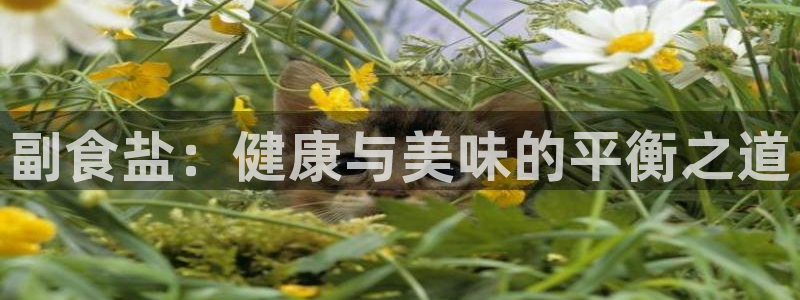 威九国际app网站官网