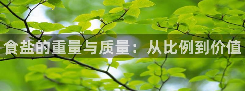 威九国际78m-MBA智库百科
