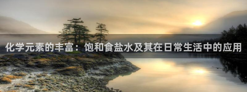 威九国际成长模式