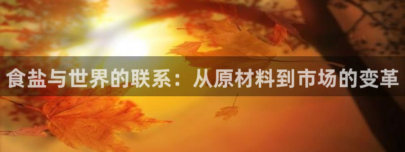 威九国际ppt官网