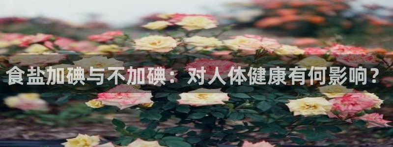 威九国际网站入口官网首页登录