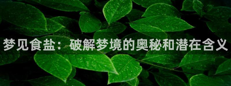威九国际APP大全