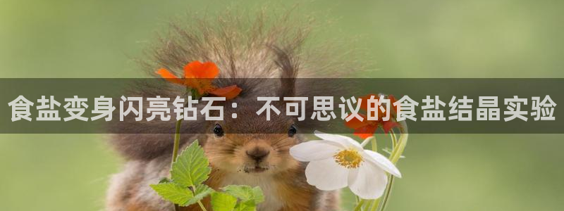 威九国际第一页