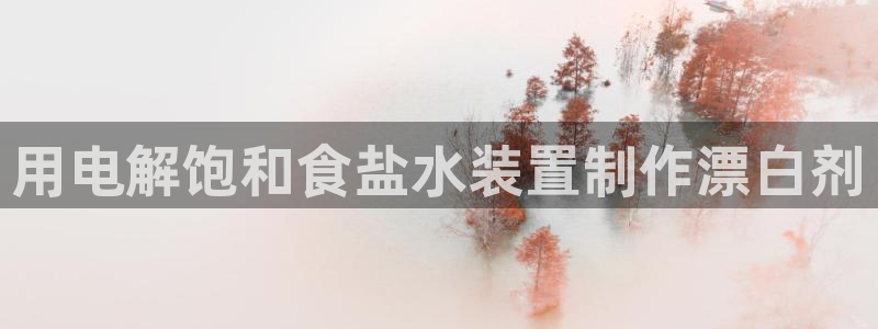 威九国际官网登录入口网址