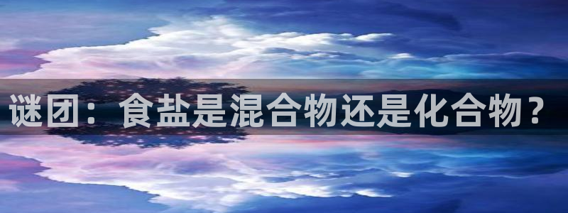 威九国际官网登录入口网站