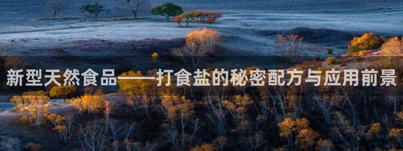 威九国际集团66m一6在线