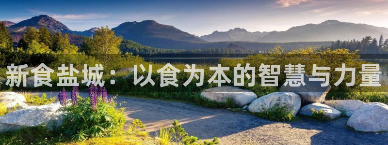 威九国际官网版下载