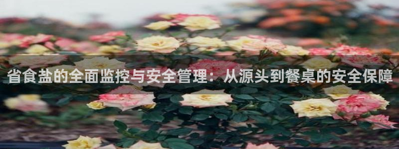 威九国际APP客服