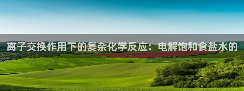 威九国际官网登录入口