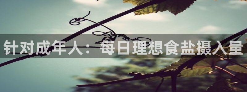 威九国际官网登录入口