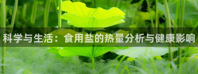 威九国际66m66模式视频