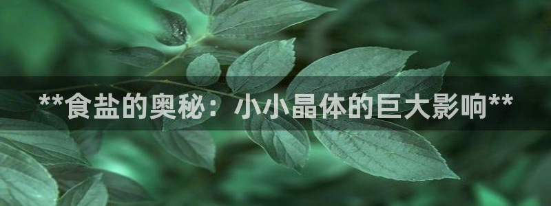 威九国际黄威尼斯