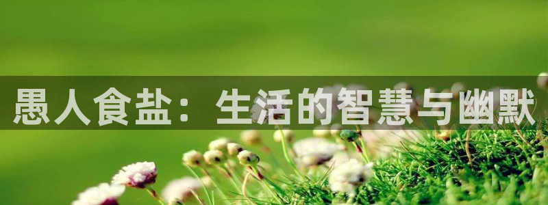 威九国际网站入口官网首页下载