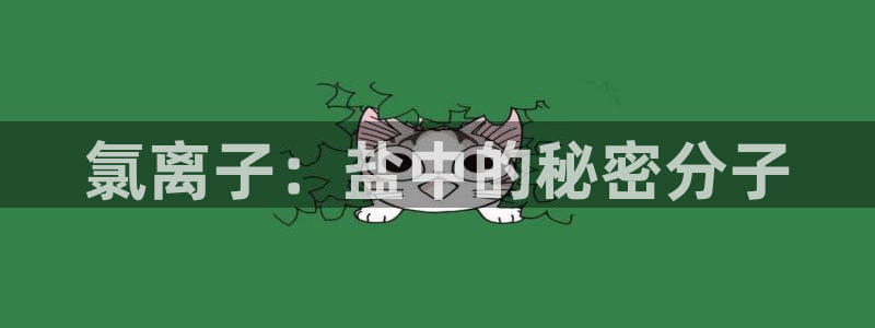 威九国际网站传媒