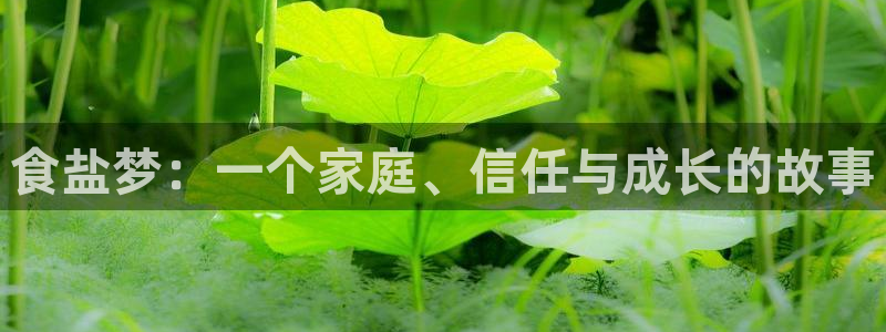 78mapp威九国际最新版