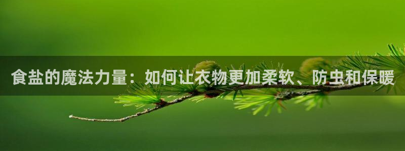 威九国际APP入口