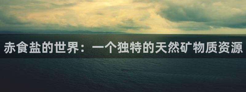 威九国际的演员