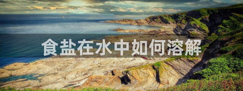 威九国际网站入口官网首页下载