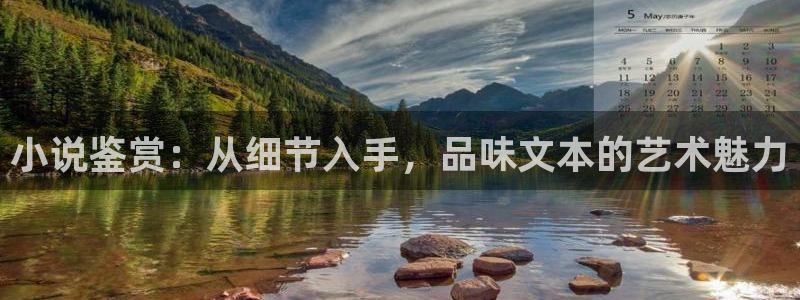 奇书网电子书全本免费下载：小说鉴赏：从细节入手，品味文本的艺术魅力