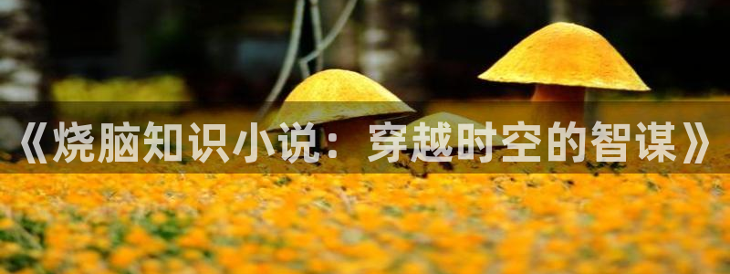 txt小说奇书网下载：《烧脑知识小说：穿越时空的智谋》