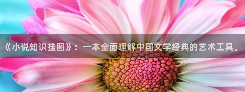 剑出衡山txt下载奇书网：《小说知识挂图》：一本全面理解中国文学经典的艺术工具。