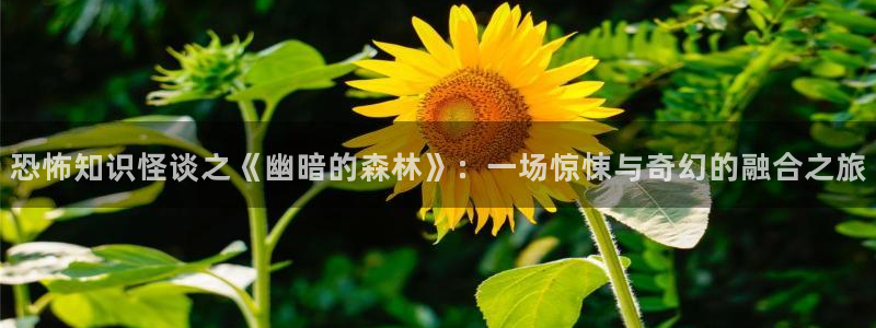 从红月开始奇书网：恐怖知识怪谈之《幽暗的森林》：一场惊悚与奇幻的融合之旅