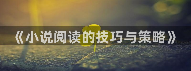 权色巅峰txt下载奇书网：《小说阅读的技巧与策略》