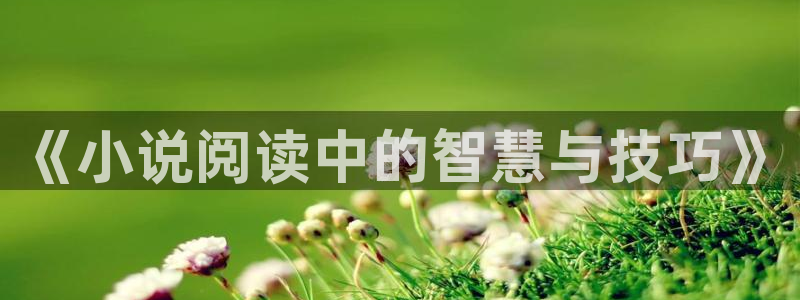 道神txt下载奇书网：《小说阅读中的智慧与技巧》