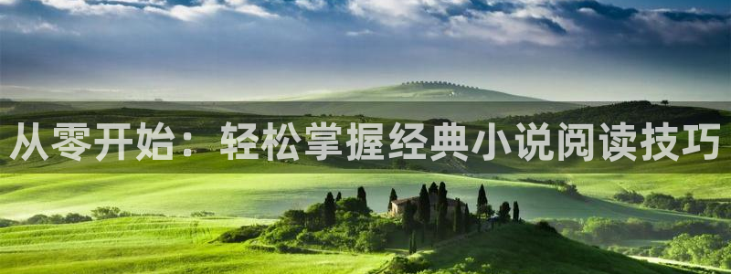 我老婆是大明星txt奇书网：从零开始：轻松掌握经典小说阅读技巧